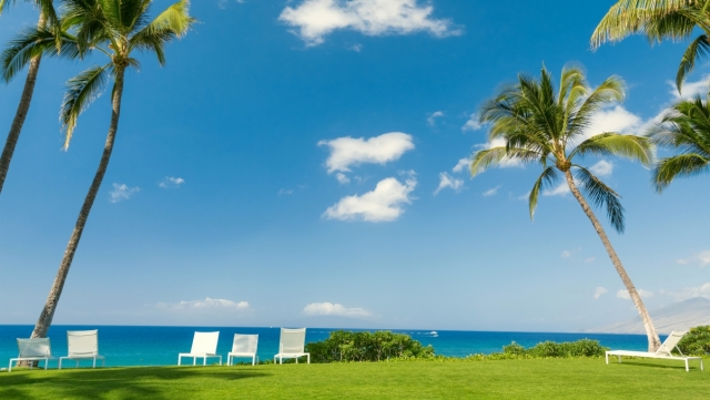 金年会集团：成就无尽的脚步：塑胶跑道材料如何制造？