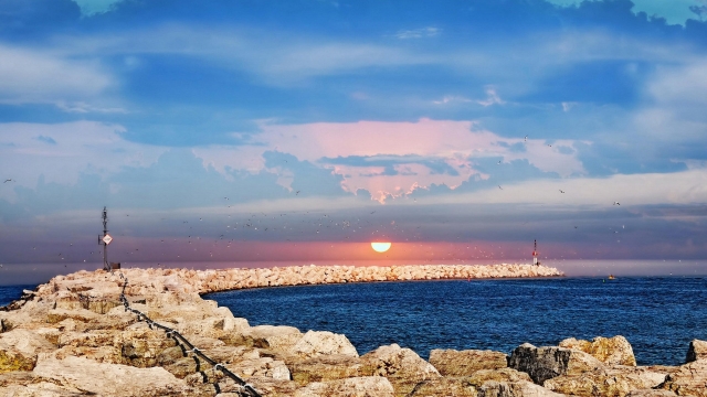 金年会集团：华丽五彩塑胶跑道怎样打造？这些窍门必须知道！